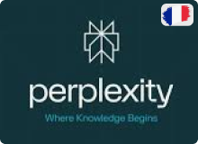 perplexity